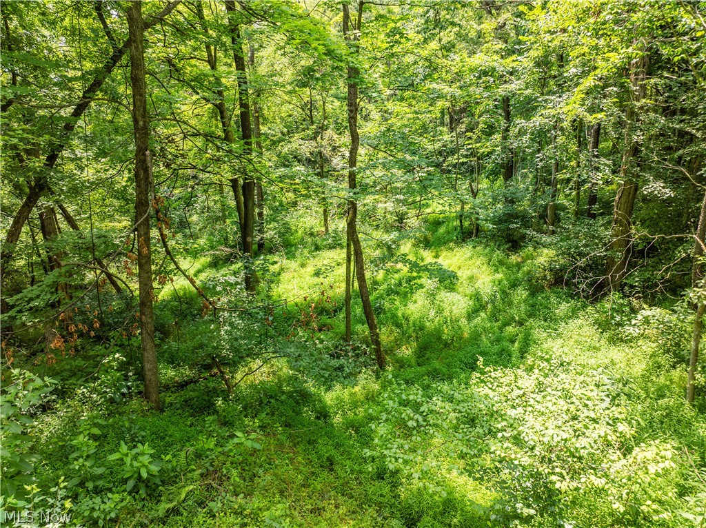 Lot 17 Township Rd 51 Property Photo 2