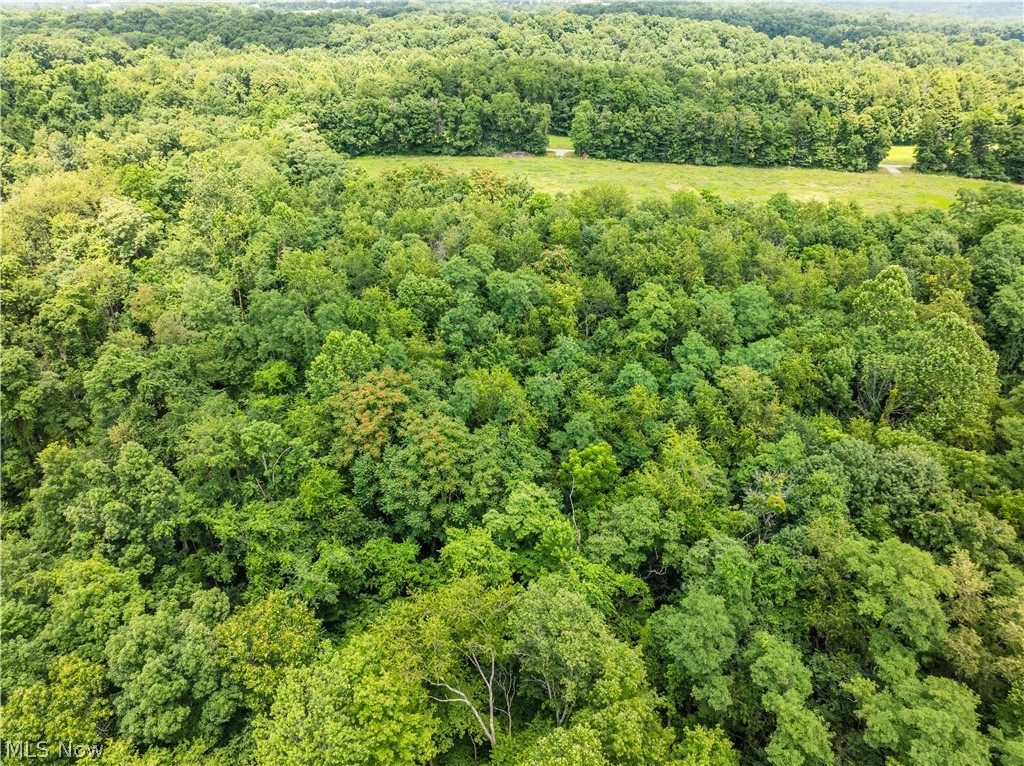 Lot 17 Township Rd 51 Property Photo 6