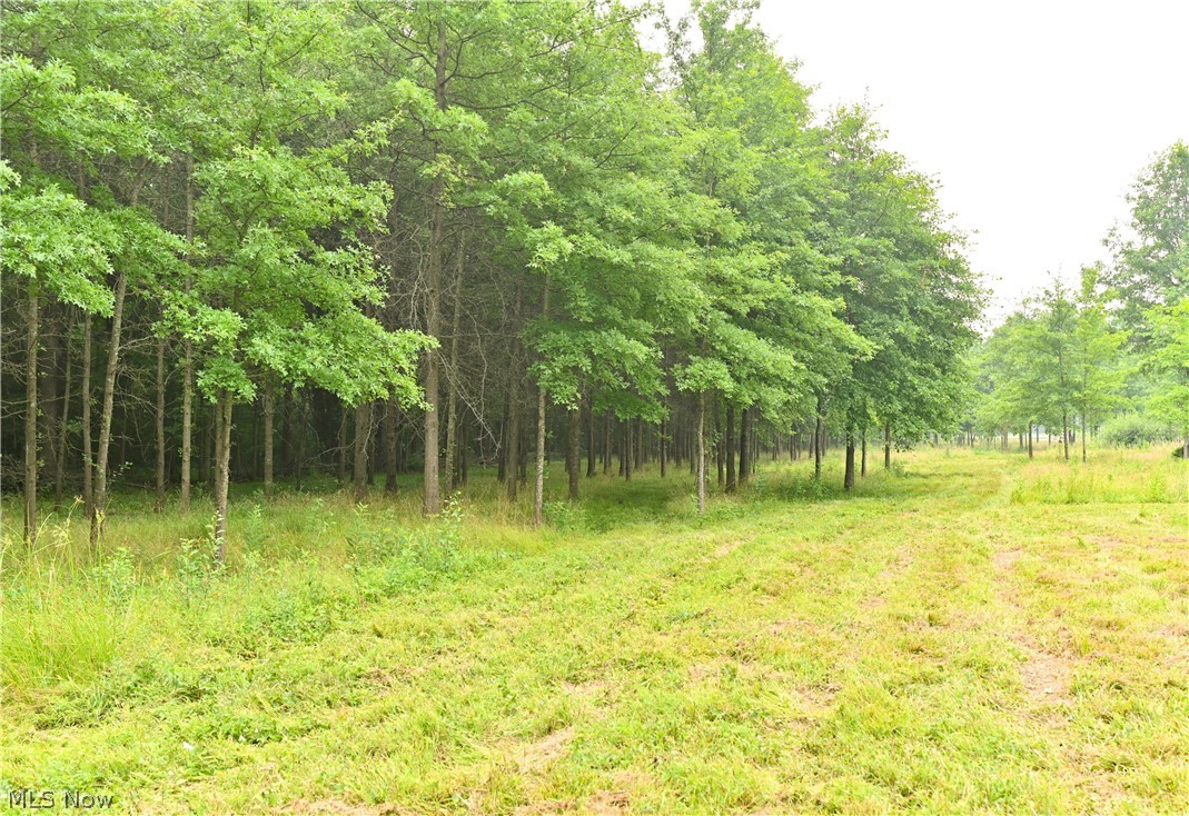 State Route 14 Property Photo 7