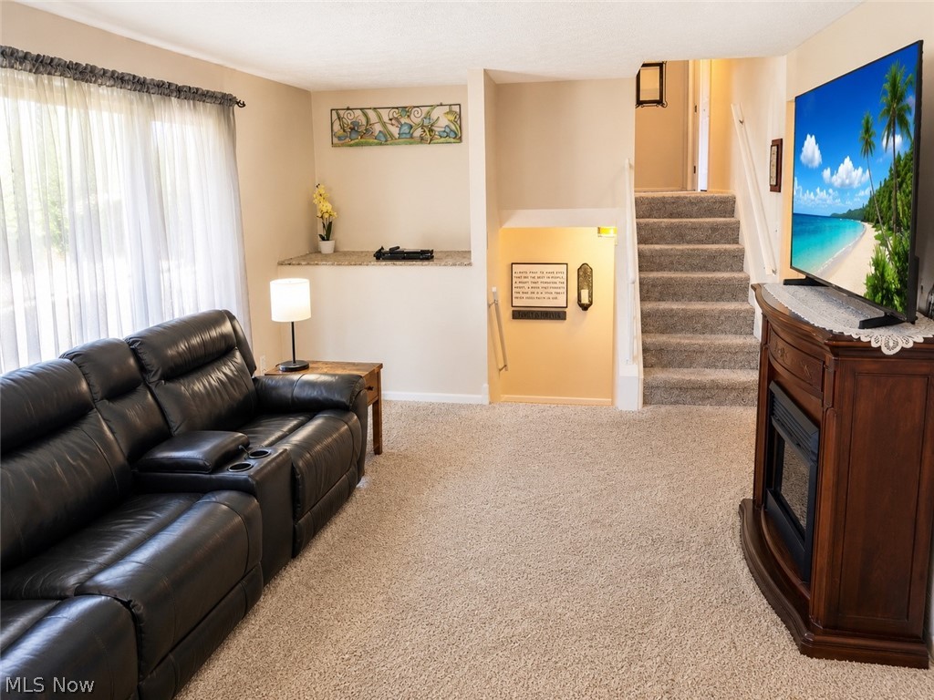 32703 Arlesford Drive Property Photo 10