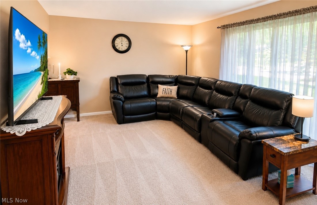 32703 Arlesford Drive Property Photo 11