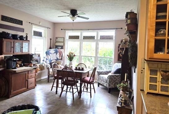 349 Springbrook Circle Property Photo 6