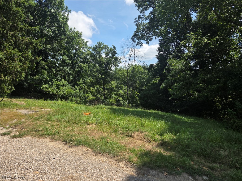 601 Orme Avenue Property Photo 1