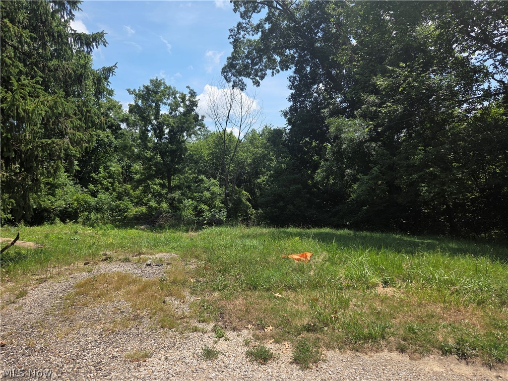 601 Orme Avenue Property Photo 2