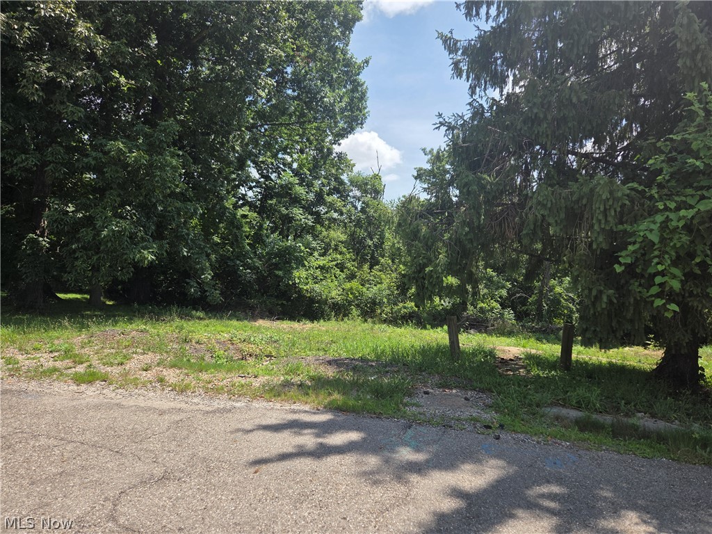 601 Orme Avenue Property Photo 3