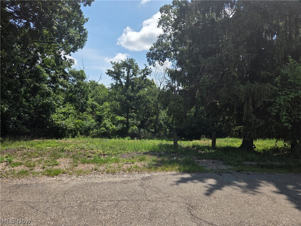 601 Orme Avenue Property Photo 4
