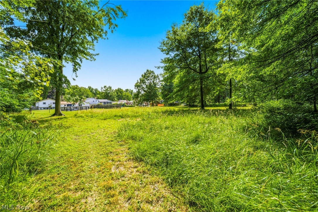 38541 Bell Road Property Photo 2