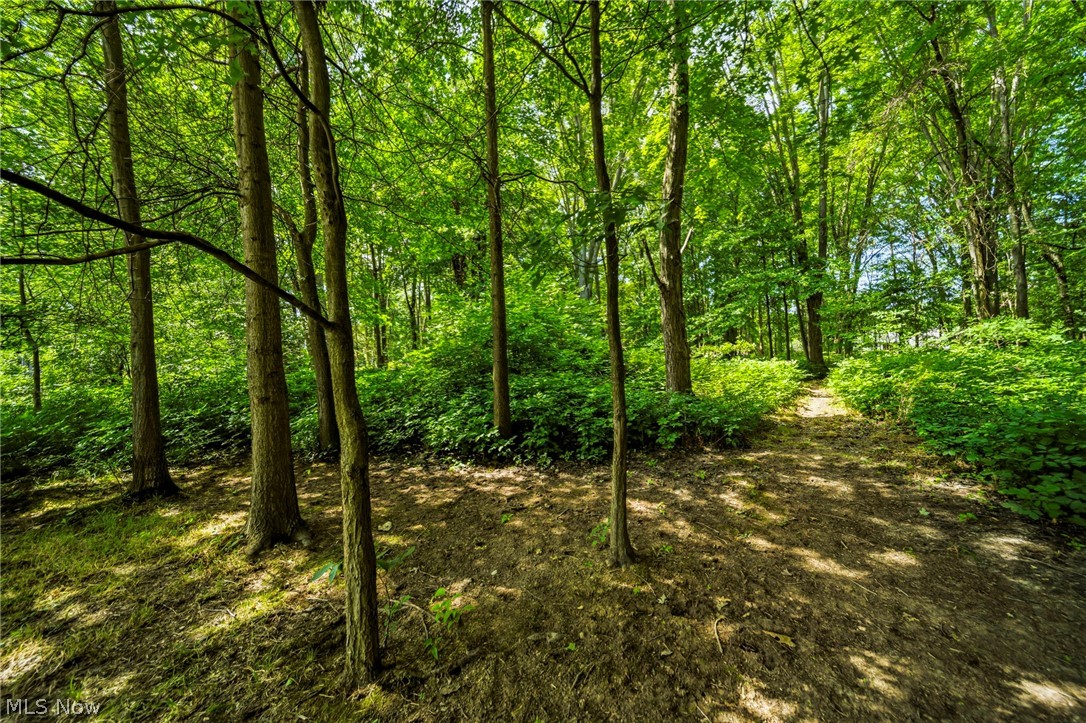 38541 Bell Road Property Photo 3