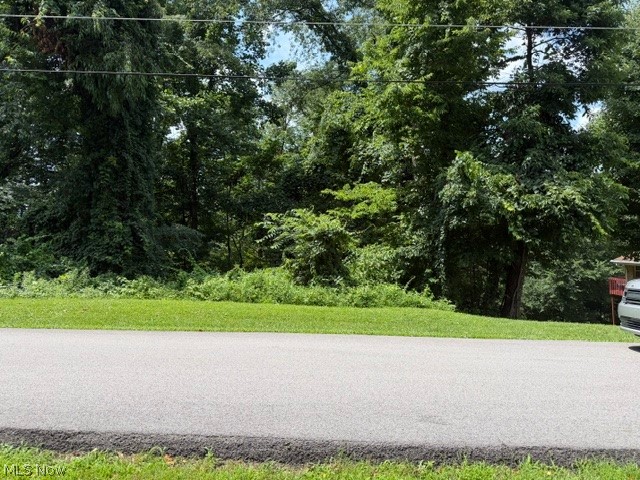 0 Chestnut Drive Property Photo 1