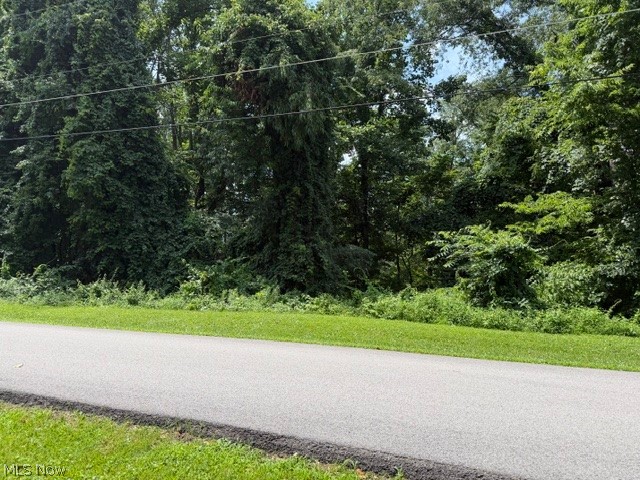 0 Chestnut Drive Property Photo 2