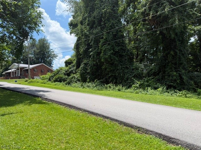 0 Chestnut Drive Property Photo 3
