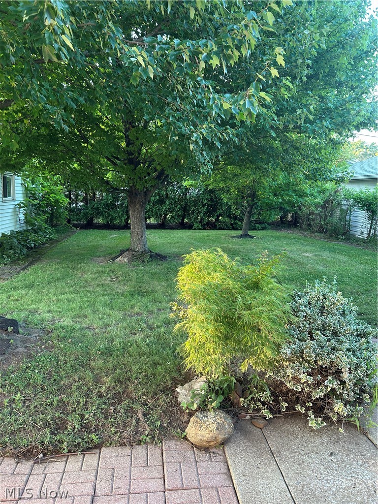 10982 Naomi Drive Property Photo 6