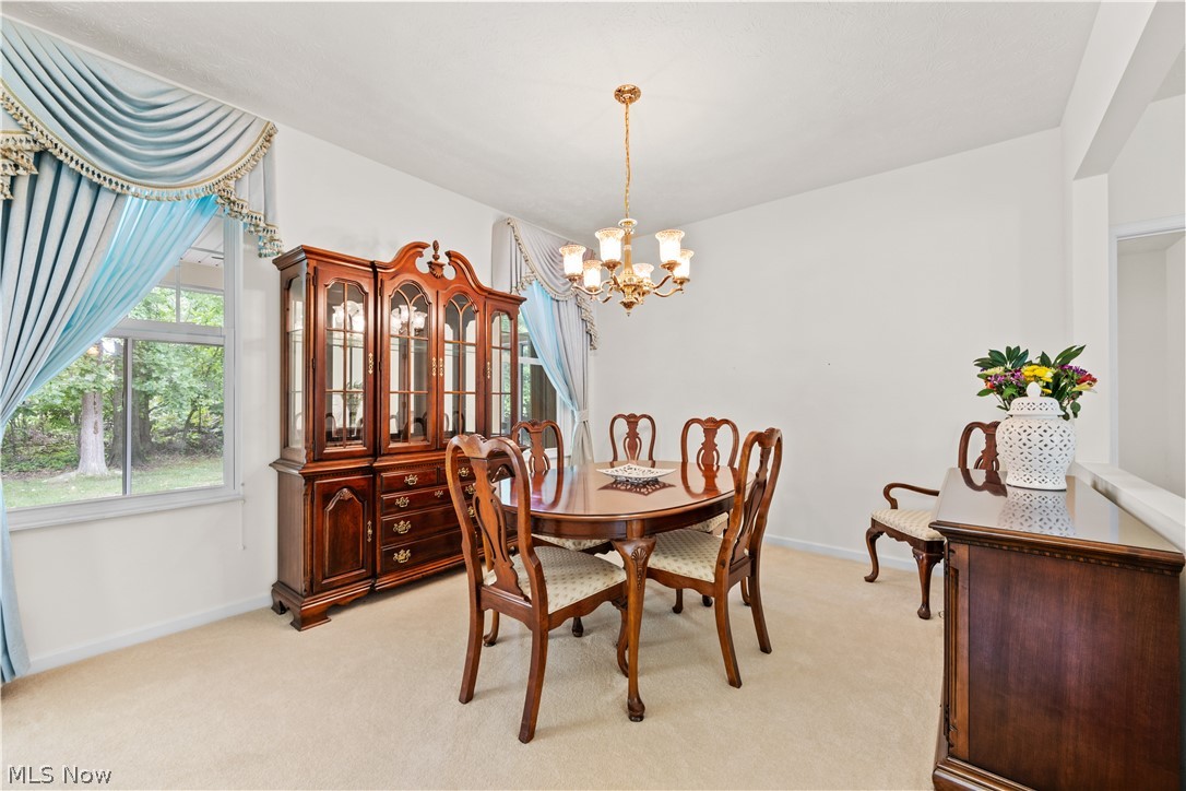 1990 Buckingham Drive Property Photo 6