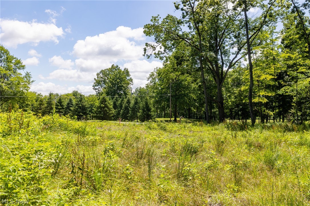 Wayland Road Property Photo 3