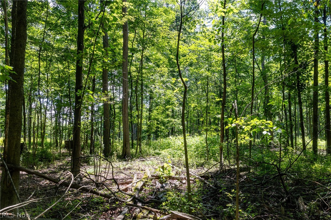 Wayland Road Property Photo 6