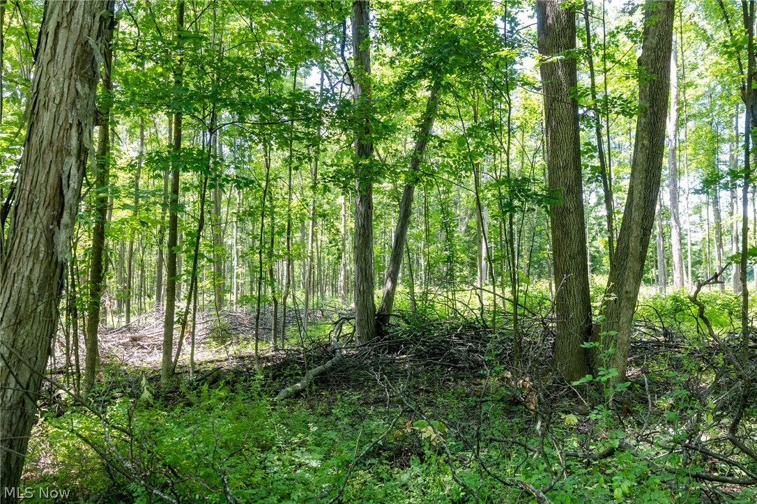 Wayland Road Property Photo 8