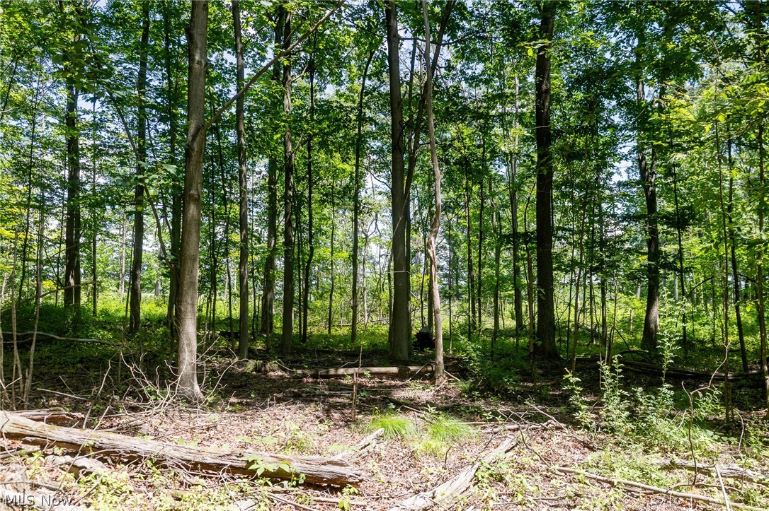 Wayland Road Property Photo 9