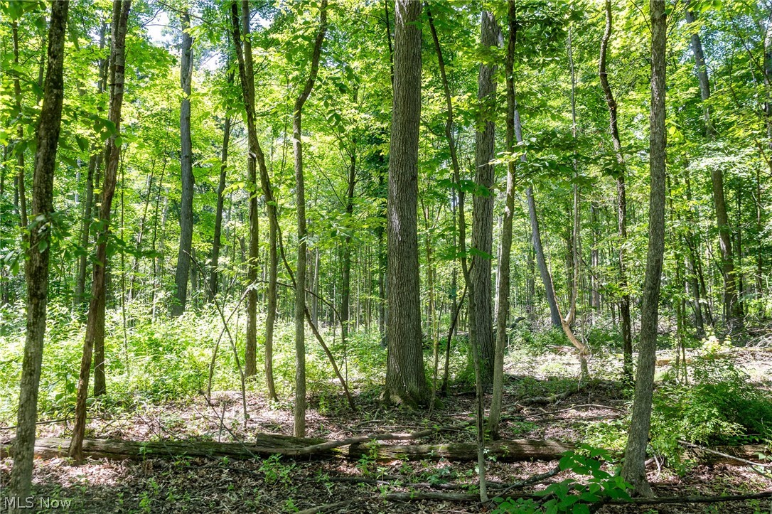 Wayland Road Property Photo 11