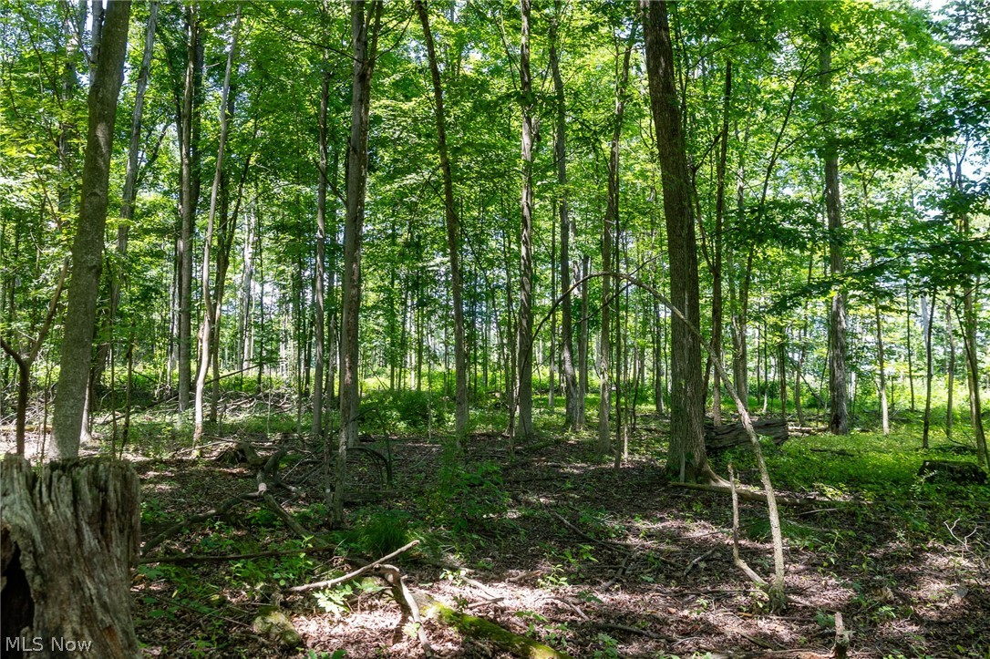 Wayland Road Property Photo 12