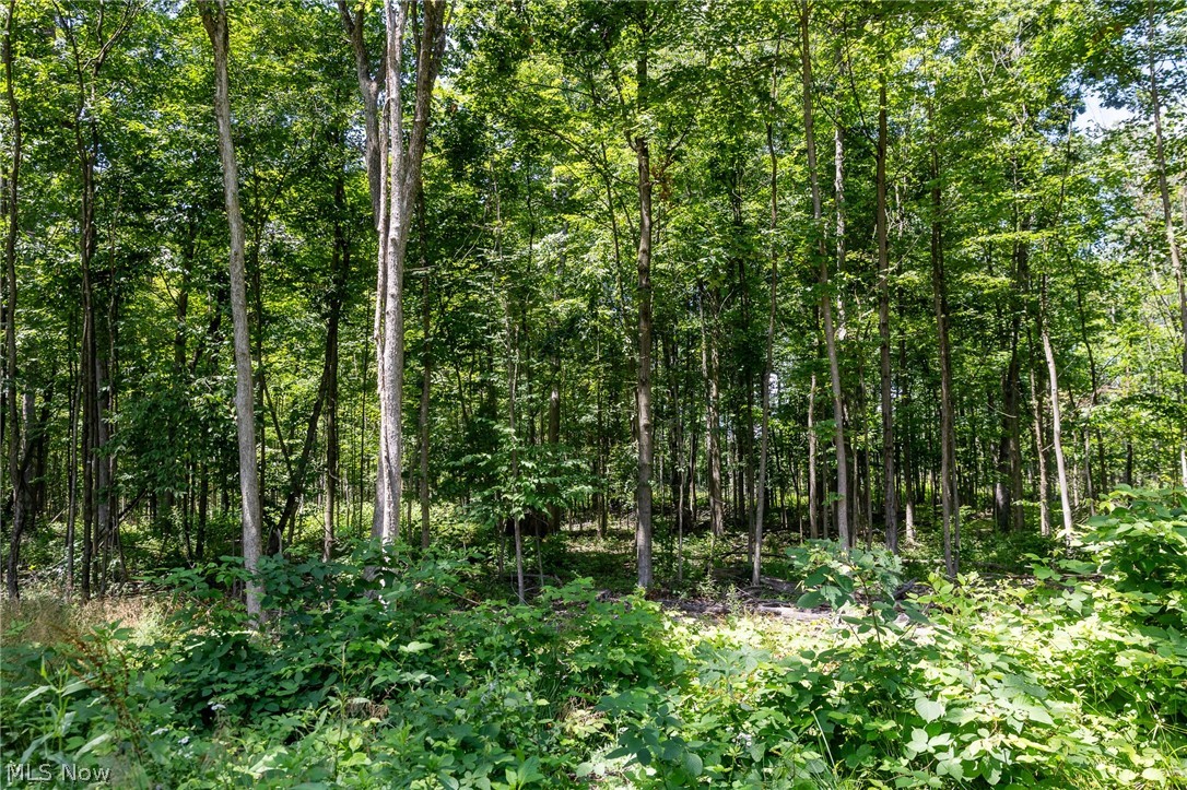 Wayland Road Property Photo 13