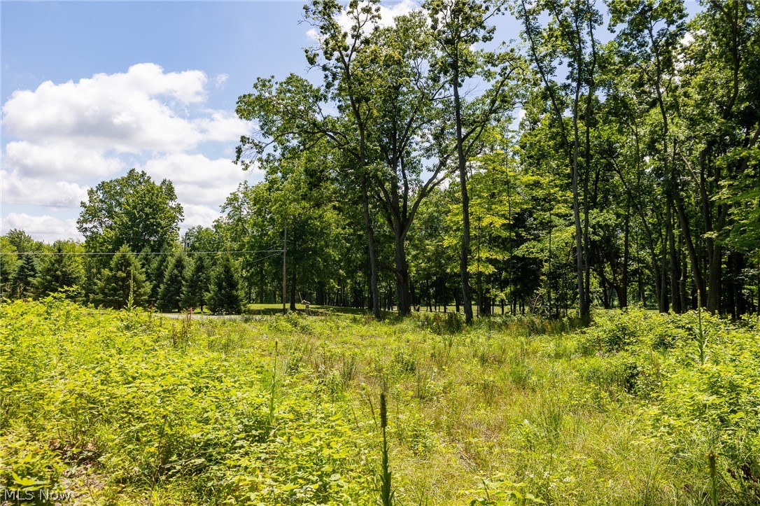Wayland Road Property Photo 14