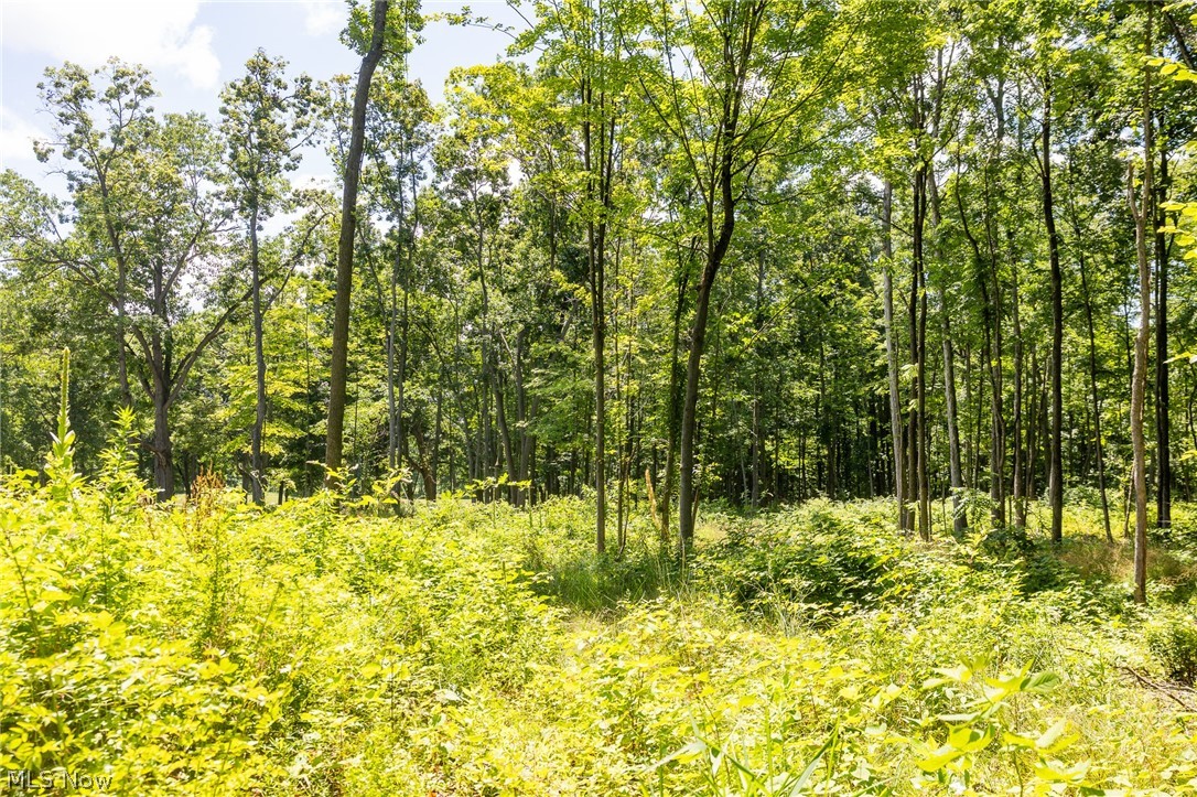 Wayland Road Property Photo 15