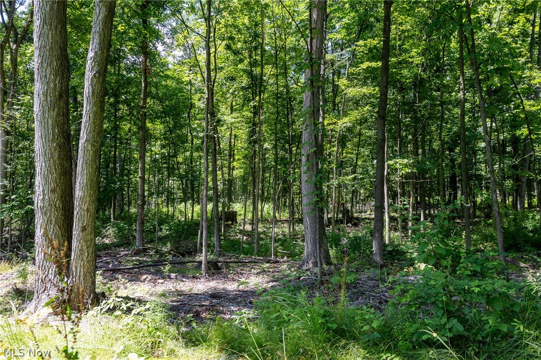 Wayland Road Property Photo 16