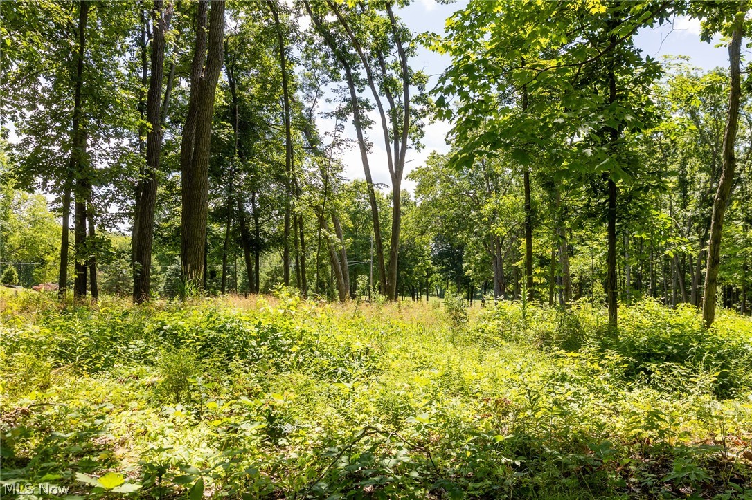 Wayland Road Property Photo 17
