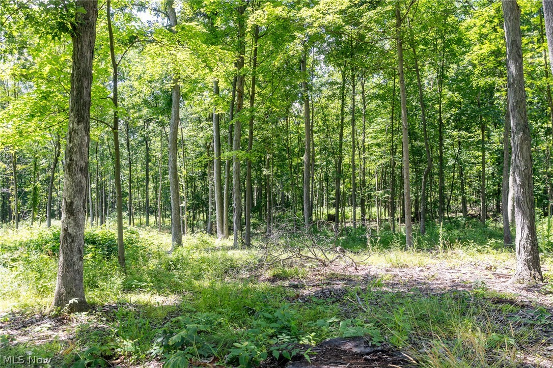 Wayland Road Property Photo 19