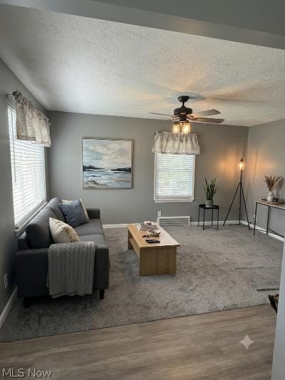 29810 Bruce Drive Property Photo 12