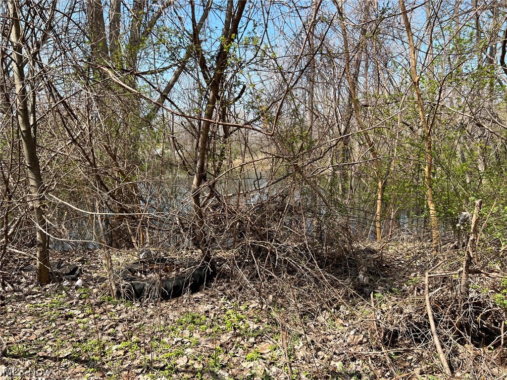 0 N Ridge Road Property Photo 2