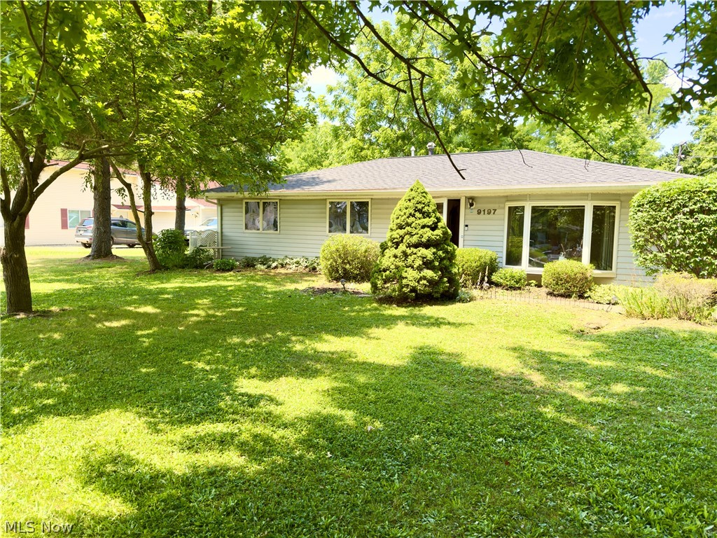 9197 Root Drive