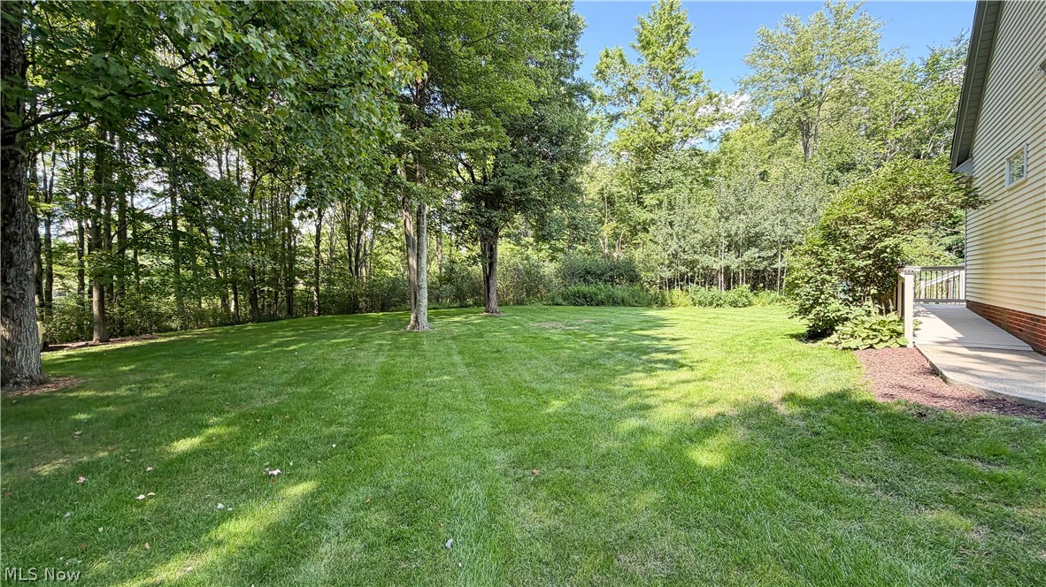 698 Deep Woods Drive Property Photo 42