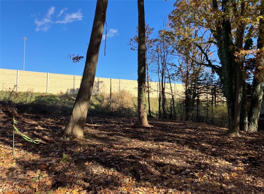 615 Woodview Drive Property Photo 3