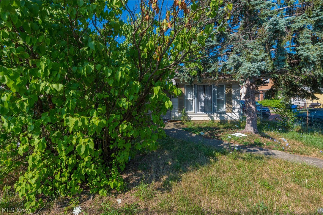 898 Wayside Road Property Photo 3