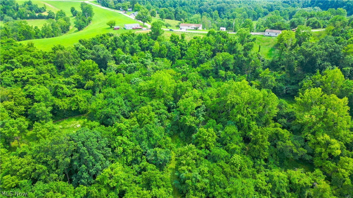 Davis Ridge Property Photo 9