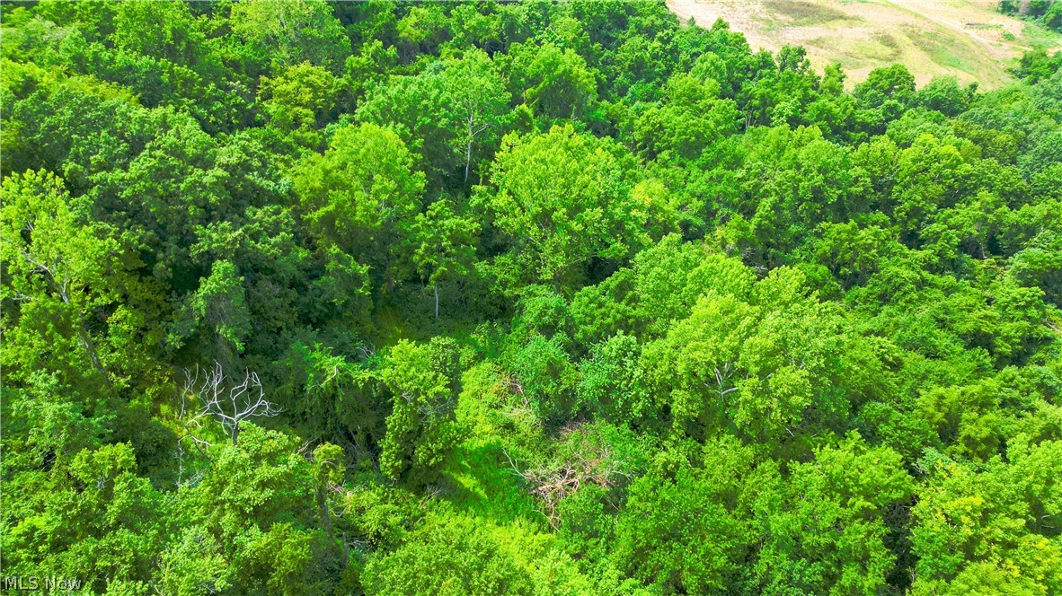 Davis Ridge Property Photo 11