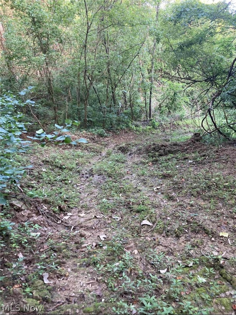 Davis Ridge Property Photo 18
