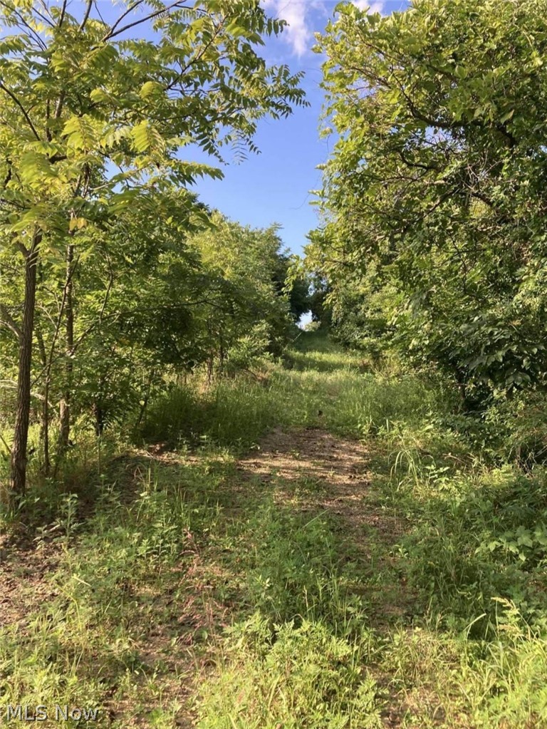 Davis Ridge Property Photo 19