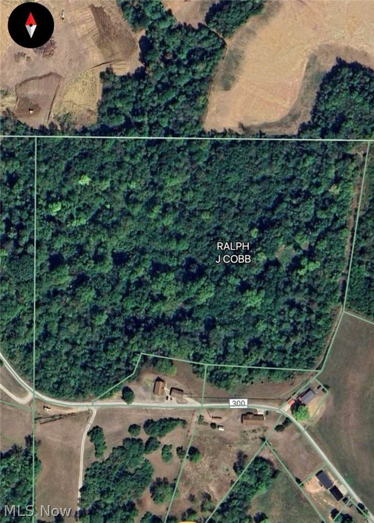 Davis Ridge Property Photo 22