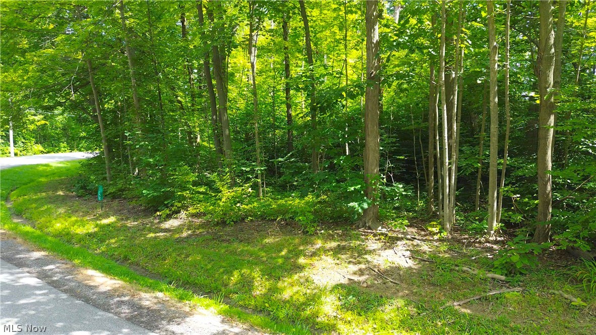 1151 Laurel Drive Property Photo 1