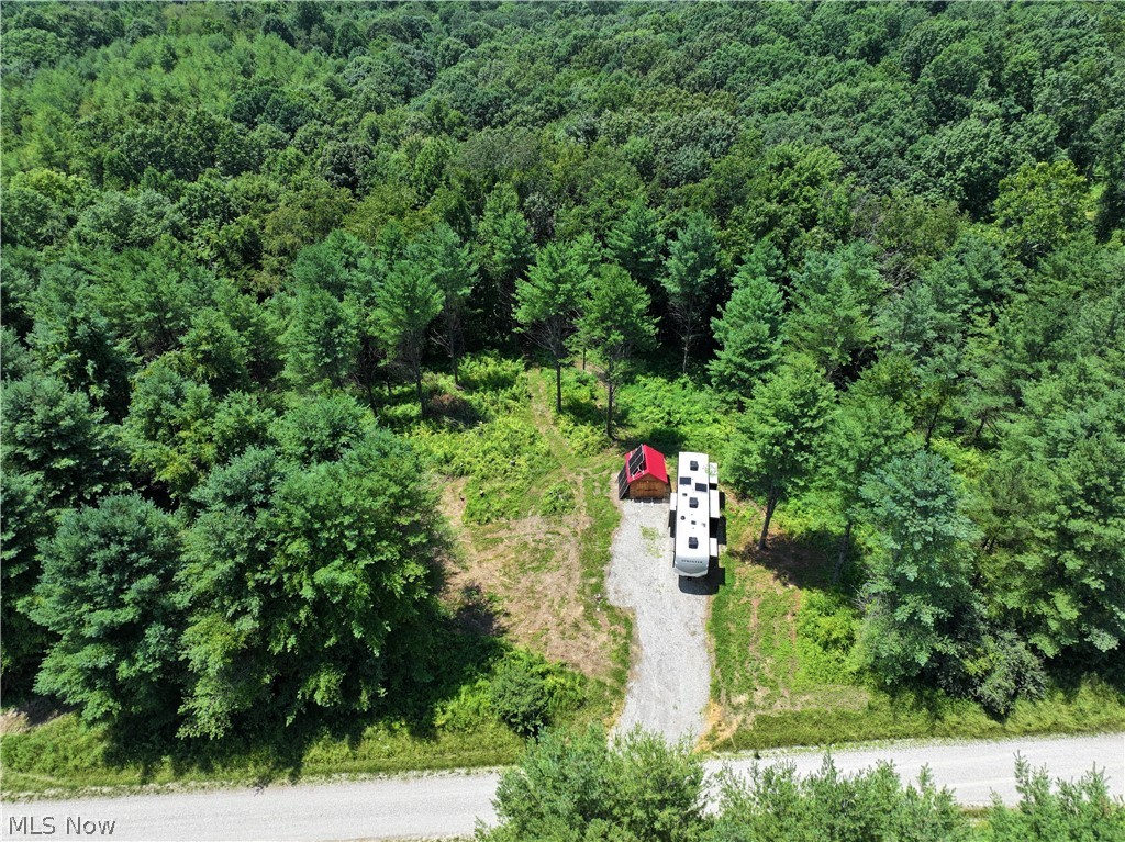 0 Tract A E Reinersville Road Property Photo 1