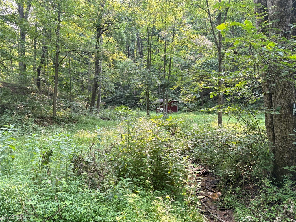 0 Twp Road 369 Property Photo 3