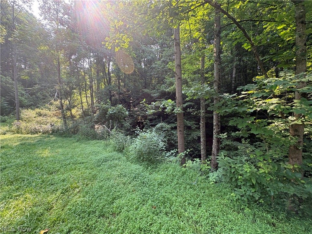 0 Twp Road 369 Property Photo 4