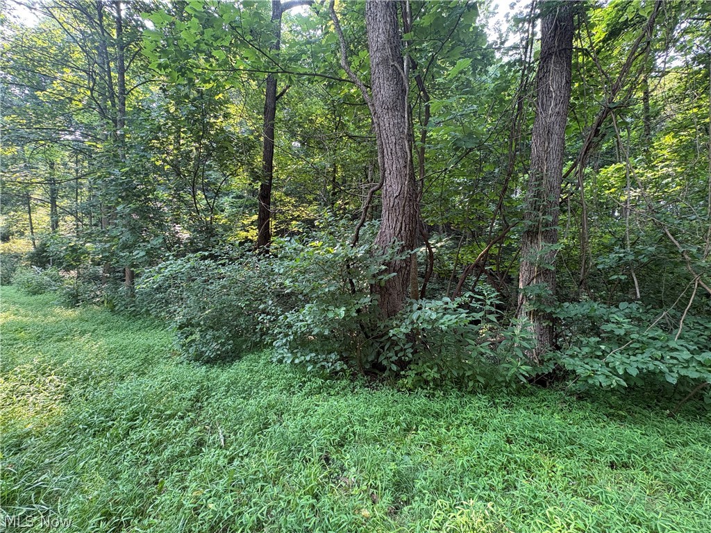 0 Twp Road 369 Property Photo 6