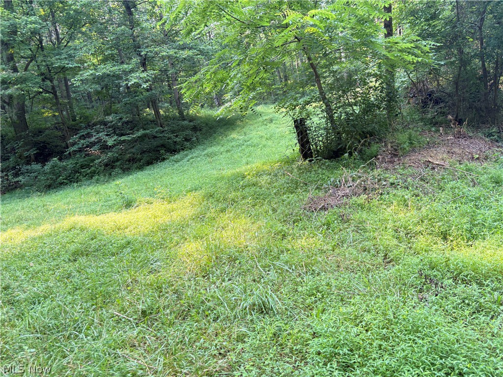 0 Twp Road 369 Property Photo 8
