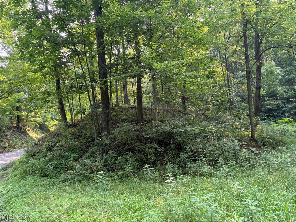 0 Twp Road 369 Property Photo 9
