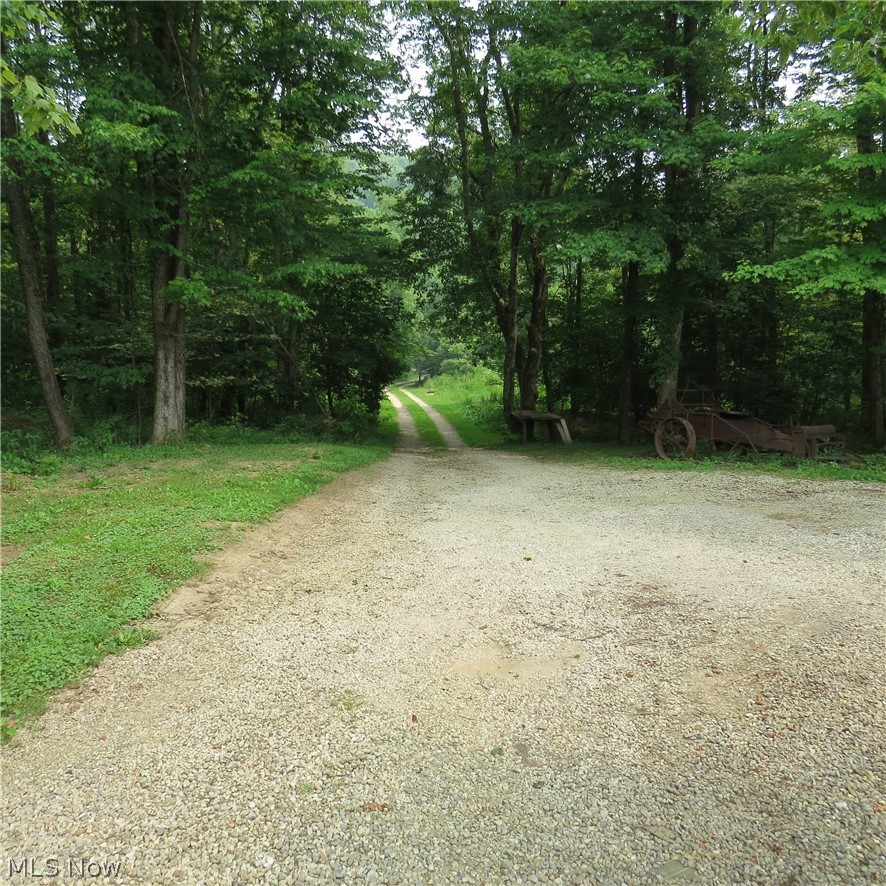 7113 Dial Road Sw Property Photo 24