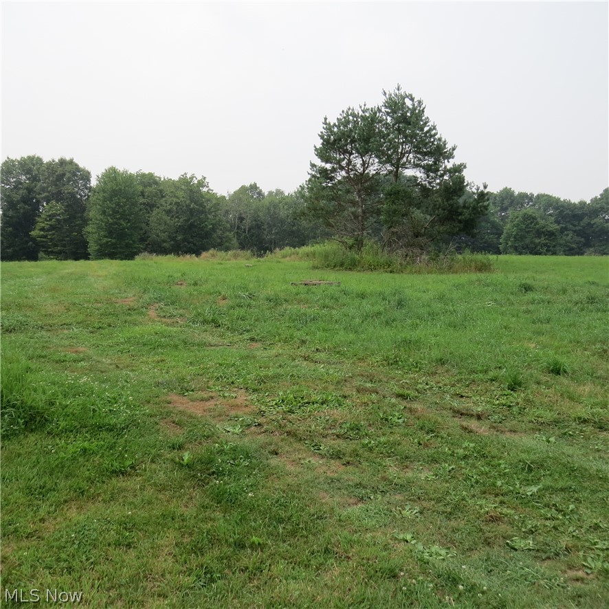 7113 Dial Road Sw Property Photo 25