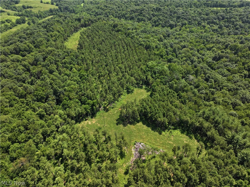 0 Tract D E Reinersville Road Property Photo 1